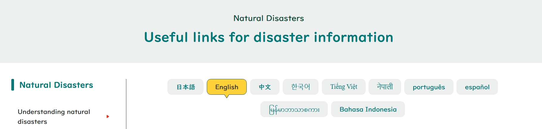 10言語一覧