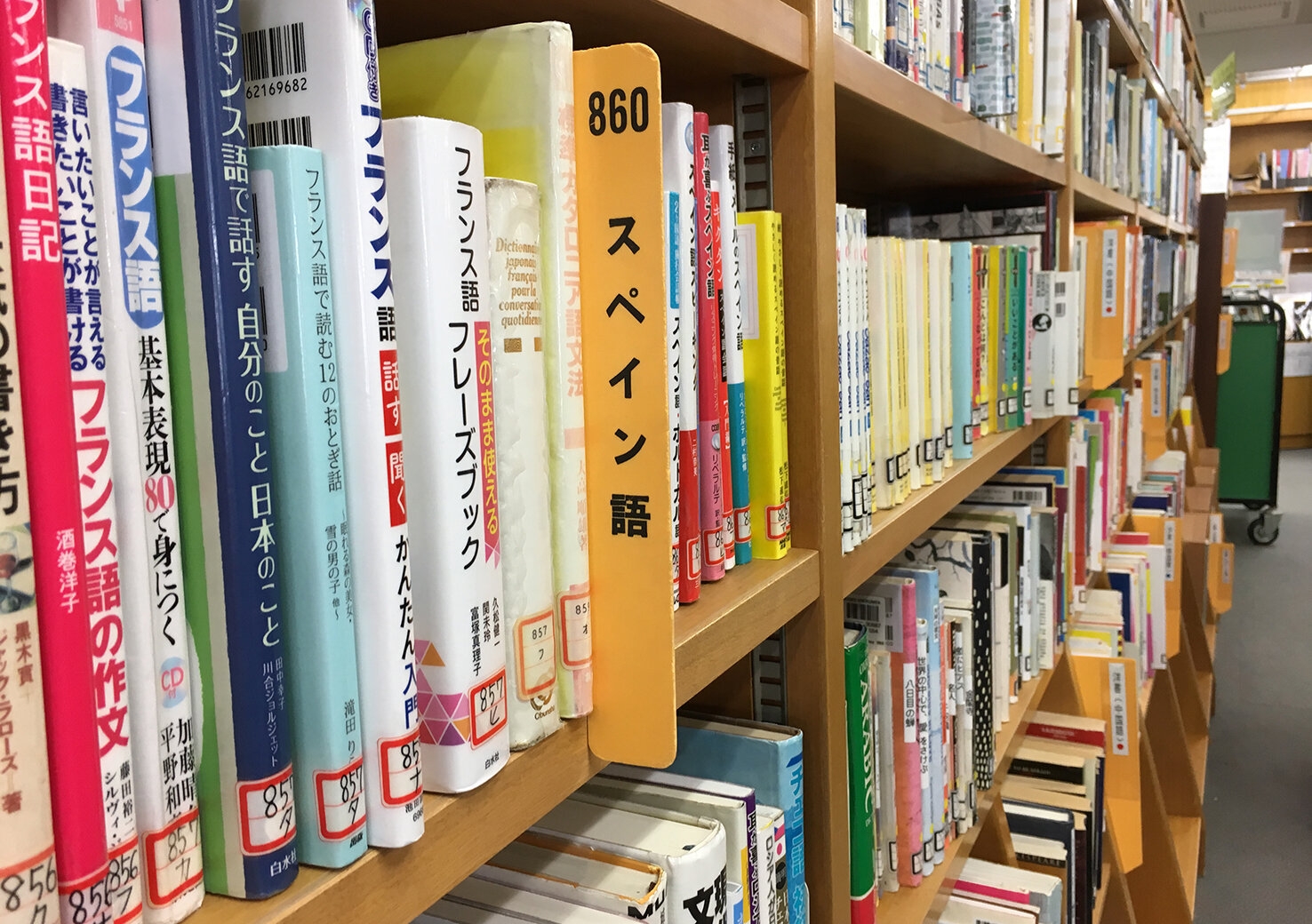Okubo Library 8.JPG