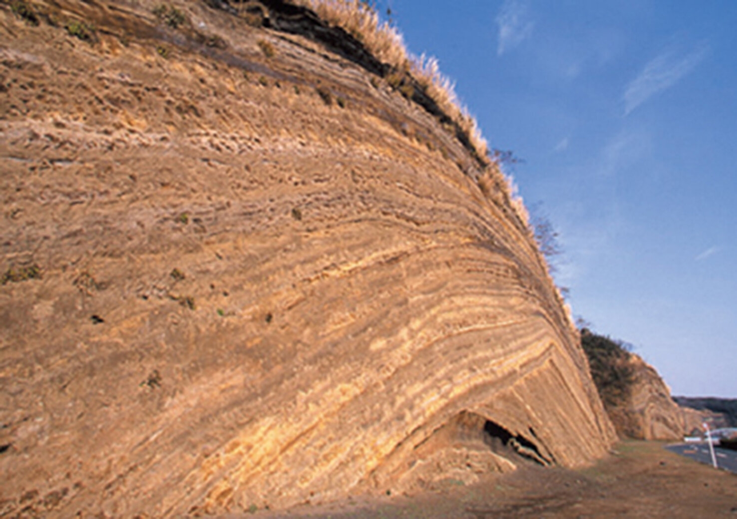baumkuchen oshima.jpg