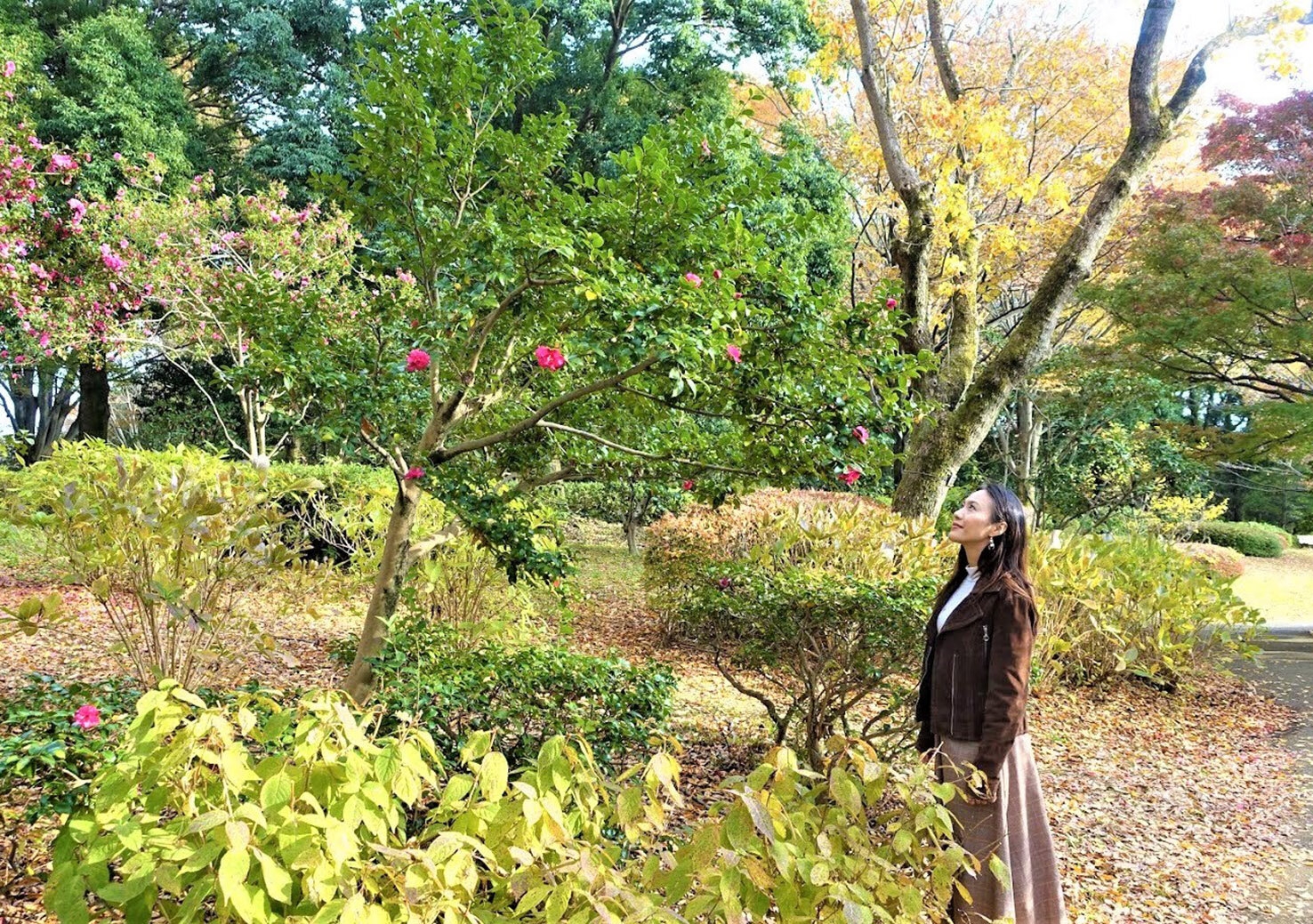 rachel leng_showa memorial park 13.jpg