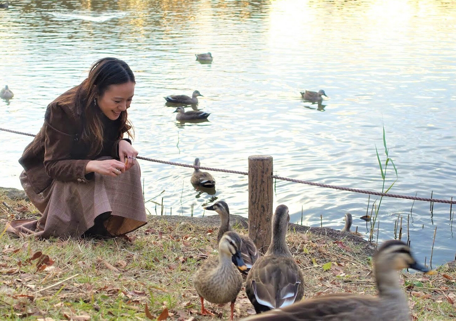 rachel leng_showa memorial park 17.jpg