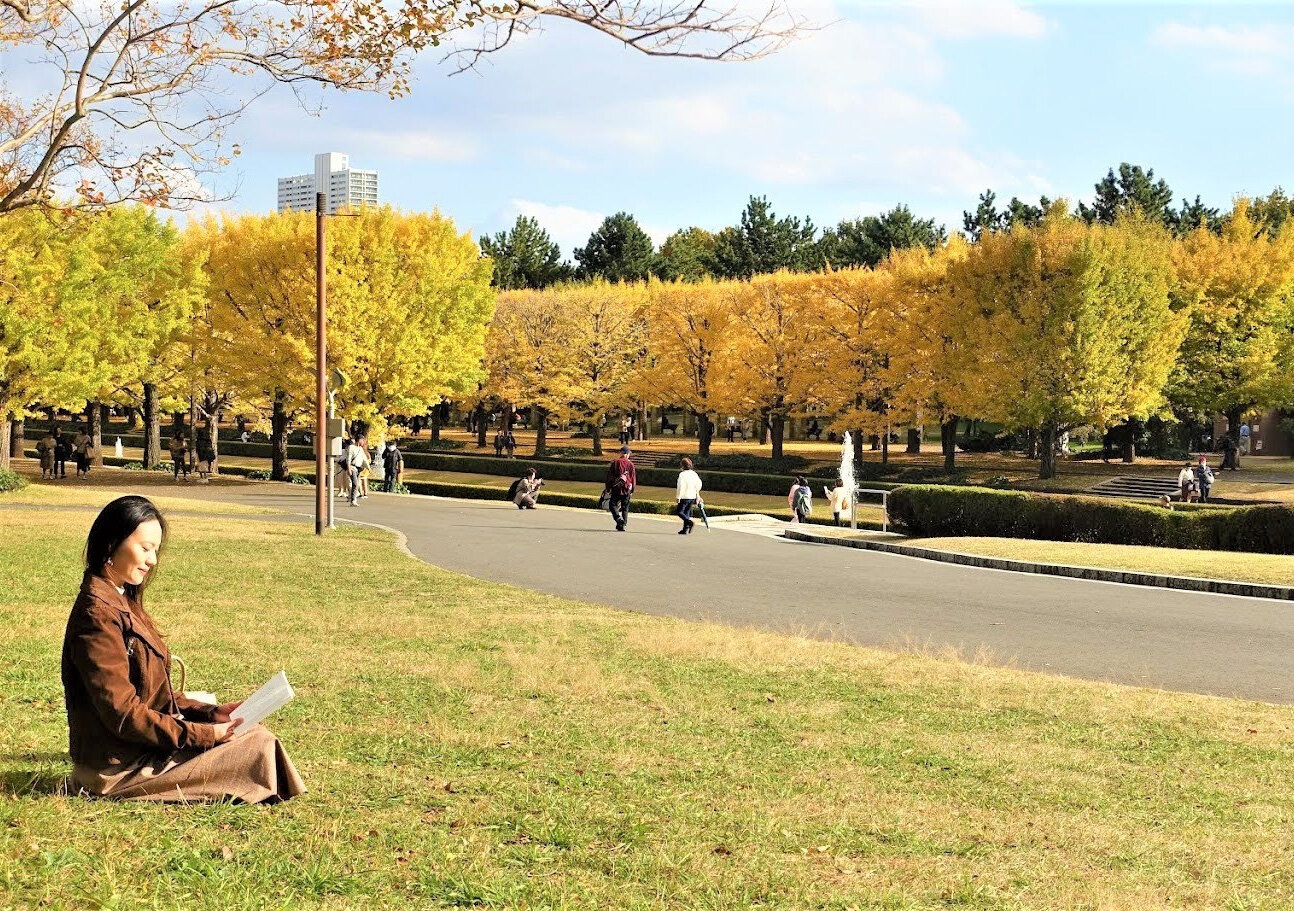 rachel leng_showa memorial park 5.jpg