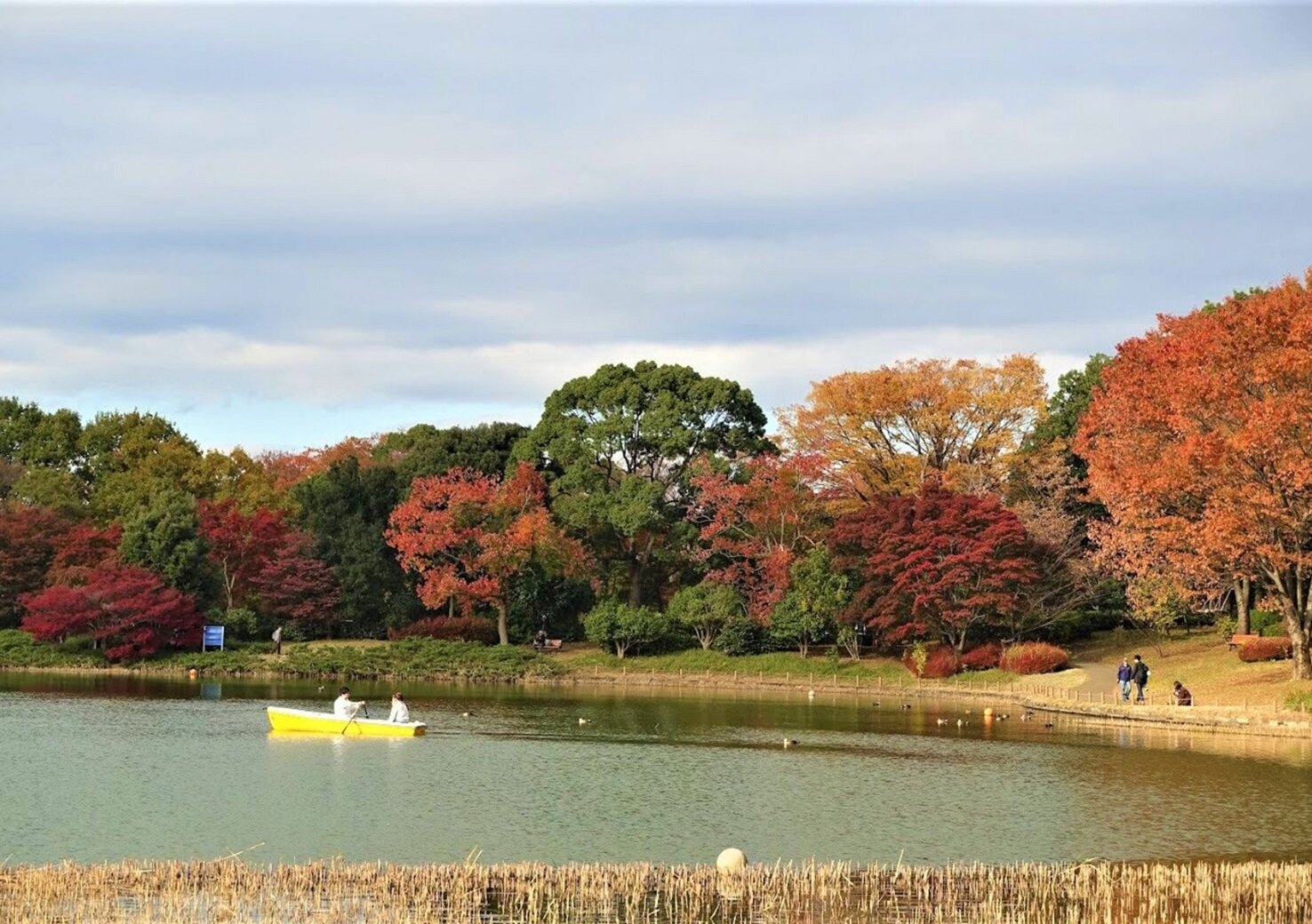 rachel leng_showa memorial park 7.jpg