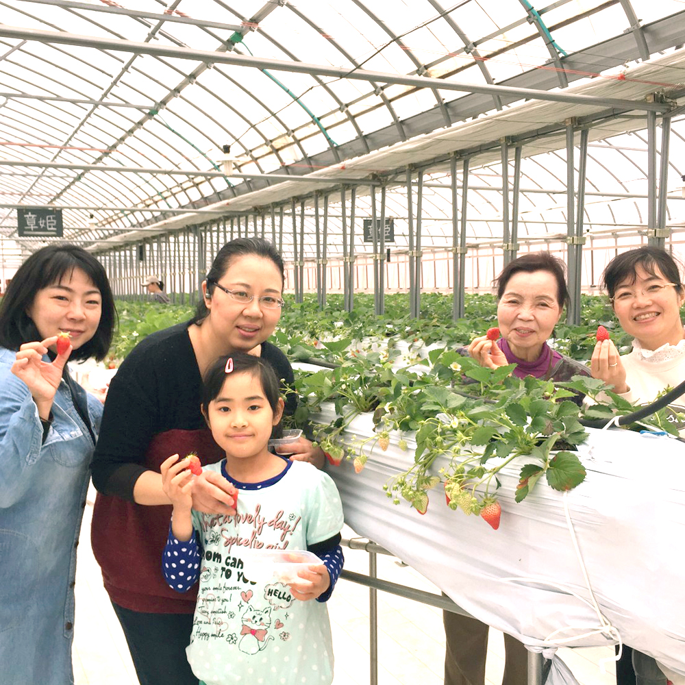 Kusanone Kokusai Koryu no Kai - Koala Circle