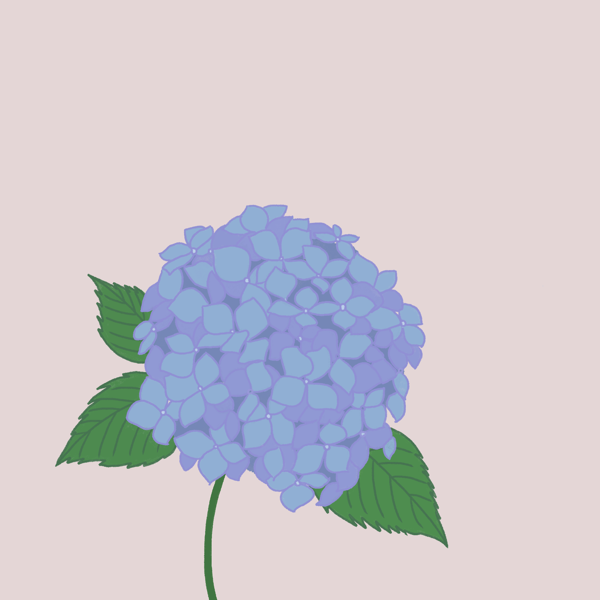 東京の季節の花